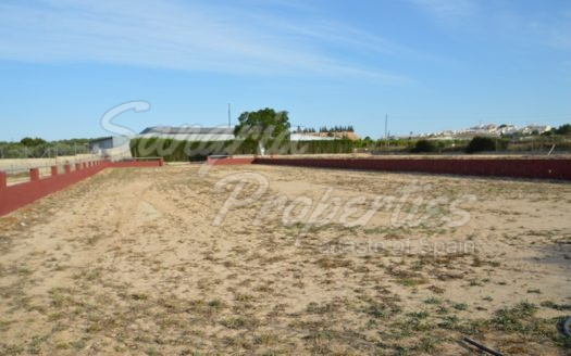 Rustic Land in San Miguel de Salinas with horse stables and business potential