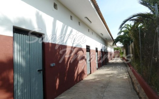 Rustic Land in San Miguel de Salinas with horse stables and business potential