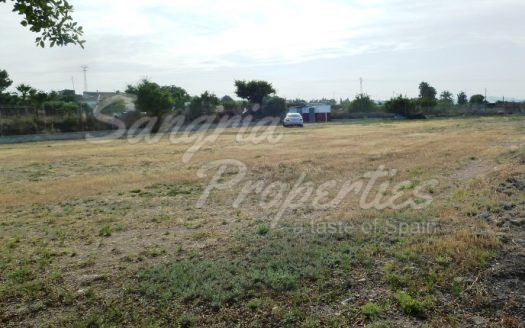 Rustic Land in San Miguel de Salinas with horse stables and business potential