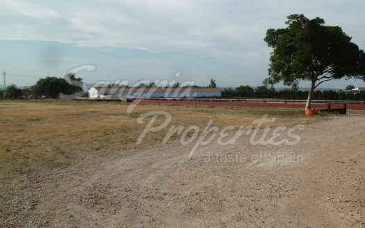 Rustic Land in San Miguel de Salinas with horse stables and business potential