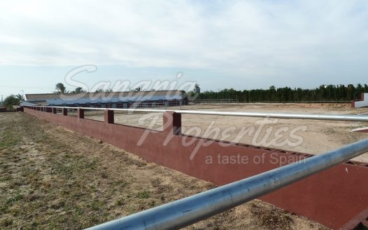 Rustic Land in San Miguel de Salinas with horse stables and business potential
