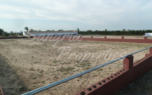 Rustic Land in San Miguel de Salinas with horse stables and business potential