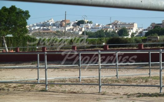 Rustic Land in San Miguel de Salinas with horse stables and business potential