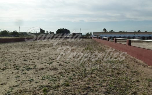 Rustic Land in San Miguel de Salinas with horse stables and business potential