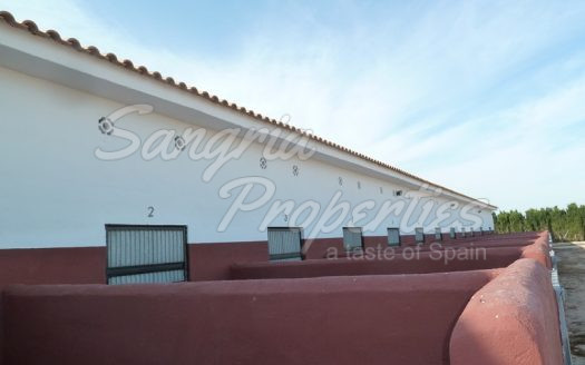 Rustic Land in San Miguel de Salinas with horse stables and business potential