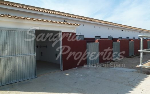 Rustic Land in San Miguel de Salinas with horse stables and business potential