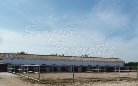 Rustic Land in San Miguel de Salinas with horse stables and business potential