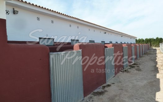 Rustic Land in San Miguel de Salinas with horse stables and business potential