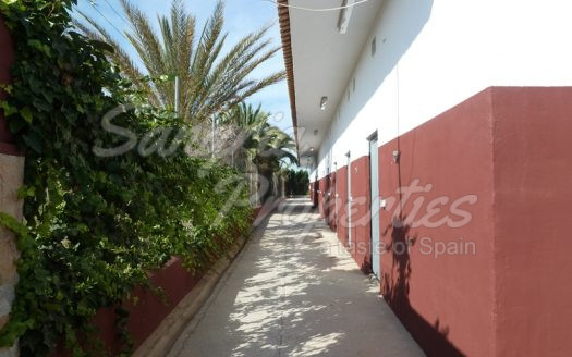 Rustic Land in San Miguel de Salinas with horse stables and business potential