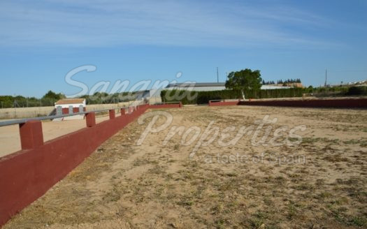 Rustic Land in San Miguel de Salinas with horse stables and business potential