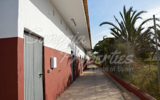Rustic Land in San Miguel de Salinas with horse stables and business potential