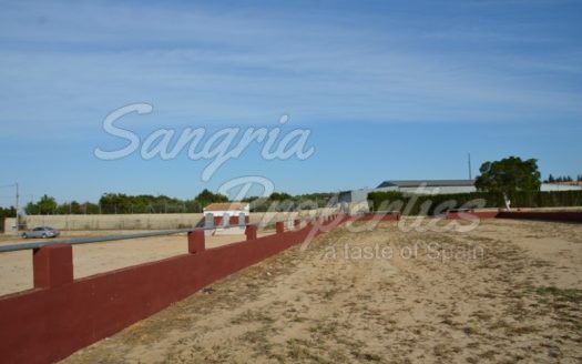 Rustic Land in San Miguel de Salinas with horse stables and business potential