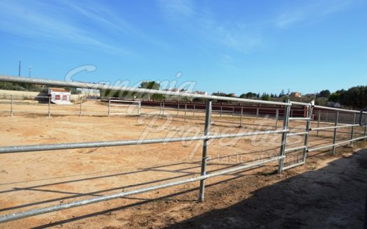 Rustic Land in San Miguel de Salinas with horse stables and business potential