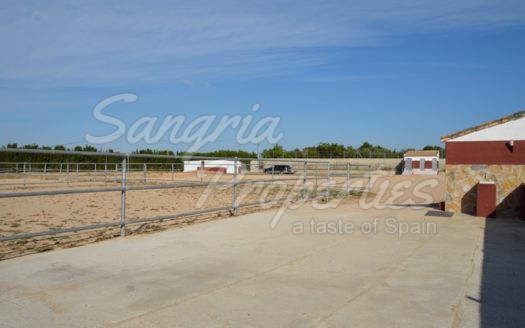 Rustic Land in San Miguel de Salinas with horse stables and business potential
