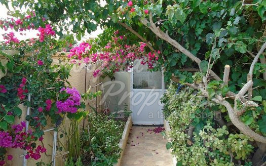 Playa Flamenca, Detached House