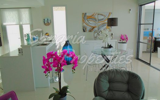 El Chaparral Detached Villa with pool