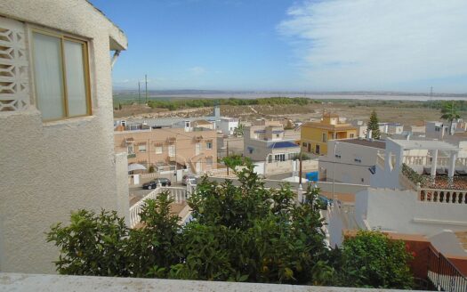 Large House and Bar with huge potential in San Miguel de Salinas