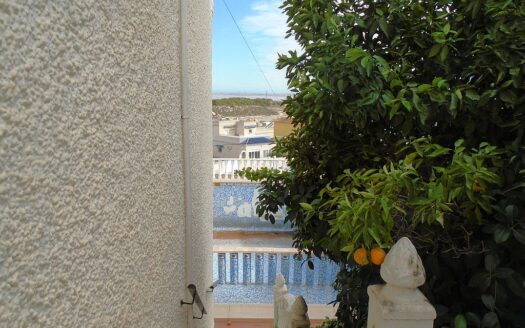 Large House and Bar with huge potential in San Miguel de Salinas