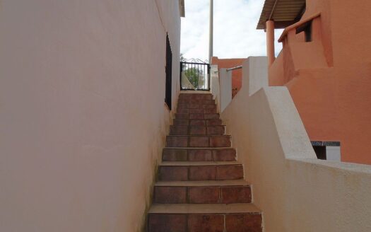 Large House and Bar with huge potential in San Miguel de Salinas