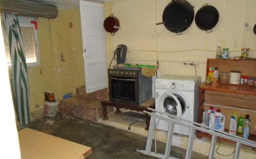 Large House and Bar with huge potential in San Miguel de Salinas