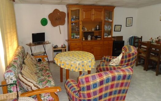 Large House and Bar with huge potential in San Miguel de Salinas