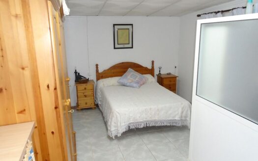 Large House and Bar with huge potential in San Miguel de Salinas