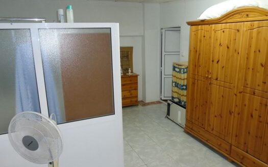 Large House and Bar with huge potential in San Miguel de Salinas