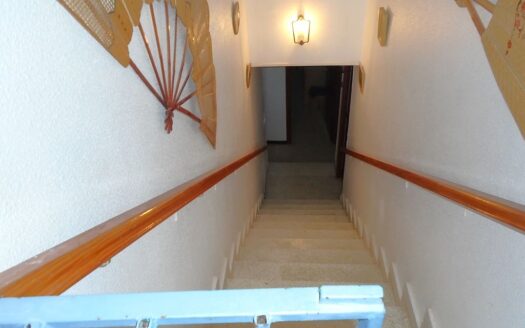 Large House and Bar with huge potential in San Miguel de Salinas