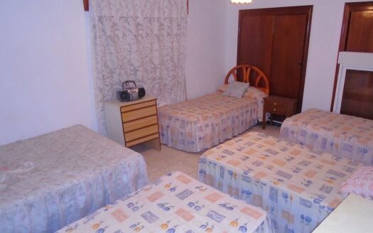 Large House and Bar with huge potential in San Miguel de Salinas