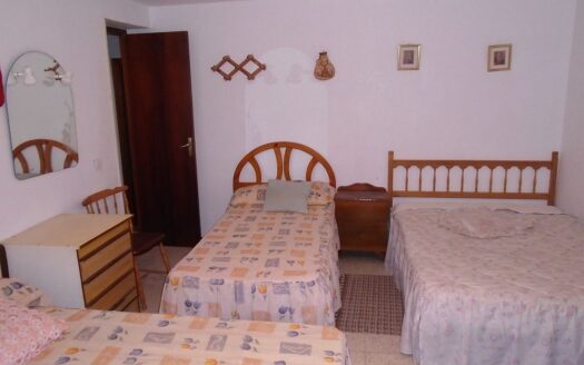 Large House and Bar with huge potential in San Miguel de Salinas