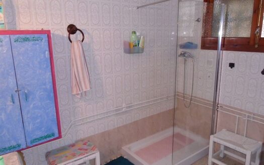 Large House and Bar with huge potential in San Miguel de Salinas