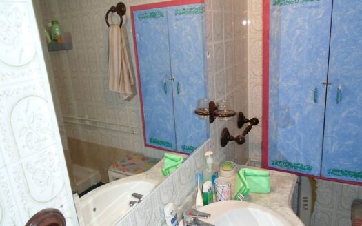 Large House and Bar with huge potential in San Miguel de Salinas