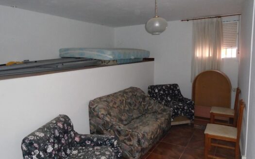 Large House and Bar with huge potential in San Miguel de Salinas