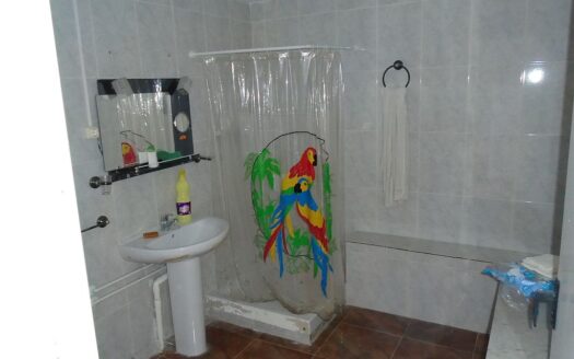 Large House and Bar with huge potential in San Miguel de Salinas