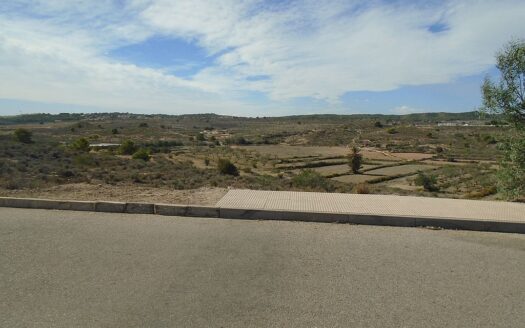 Large House and Bar with huge potential in San Miguel de Salinas