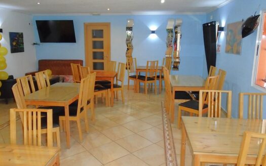 Large House and Bar with huge potential in San Miguel de Salinas