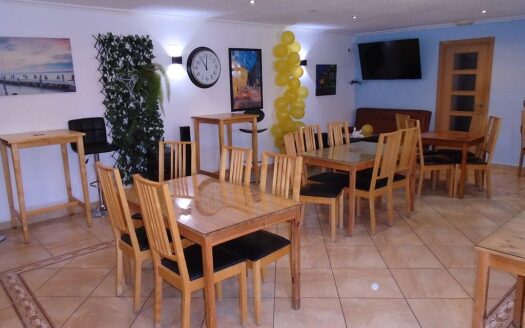 Large House and Bar with huge potential in San Miguel de Salinas