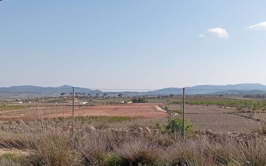 Pinoso Finca with Pool, 4 Bedrooms, 2.5 Bathrooms, Country Views