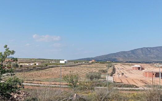 Pinoso Finca with Pool, 4 Bedrooms, 2.5 Bathrooms, Country Views