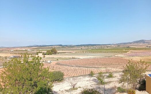 Pinoso Finca with Pool, 4 Bedrooms, 2.5 Bathrooms, Country Views