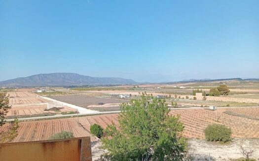 Pinoso Finca with Pool, 4 Bedrooms, 2.5 Bathrooms, Country Views