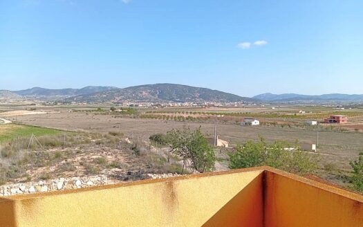 Pinoso Finca with Pool, 4 Bedrooms, 2.5 Bathrooms, Country Views