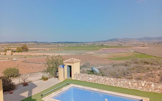 Pinoso Finca with Pool, 4 Bedrooms, 2.5 Bathrooms, Country Views