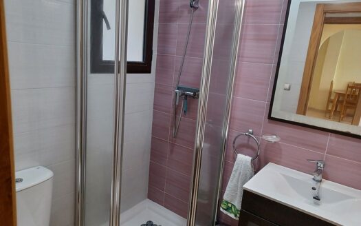 San Miguel de Salinas 2 bed 2 bath for Rent